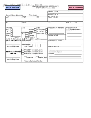 Fill in a Valid Rabies Certificate Template