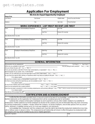 Fill in a Valid Spanish Application Employment Template